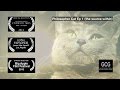 Philosopher Cat webisode 1 ("the source within ...