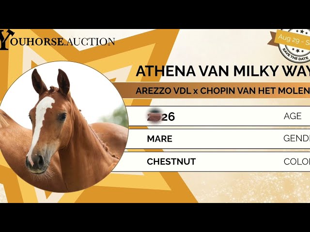 Athena from Milky Way