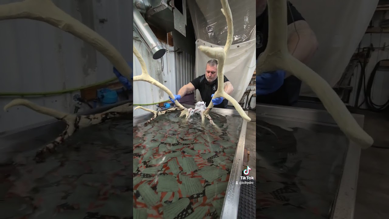 Biggest elk we've ever dipped or seen get dipped! #hydrographics #elk #elkhunting #trophy