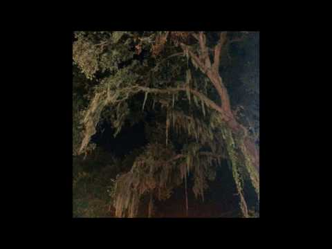 06. drew the architect - treeoflife [drew the architect edit]