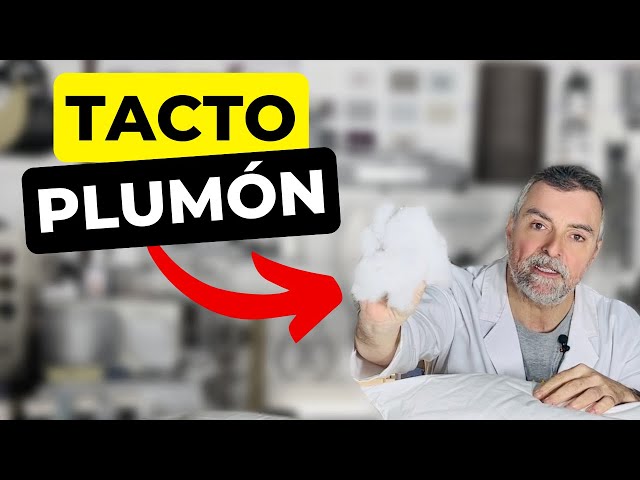 Vídeo relacionado con ASDITEX Cojin 3D Betis (composición 100% poliéster)