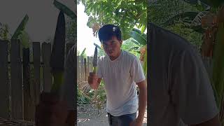 Download lagu Gagal🤣🤣#fypviralシ #reels #funnyvideo #komedi  #funnyreels #funny #entertament #fblifestyle #comedy mp3