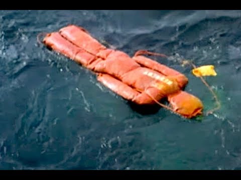 米海軍はいかにして海に落ちた人を救ったか (How The US Navy Saves A Man Overboard At Sea)