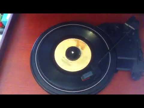Rick Dees Disco Duck 45
