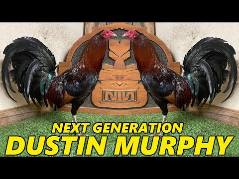 Pure Pennys Sweater Dustin Murphy Next Generation Farm