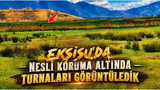 Coğrafi İşaret ile Tescilli EKŞİSU...(Gezi Severlere)