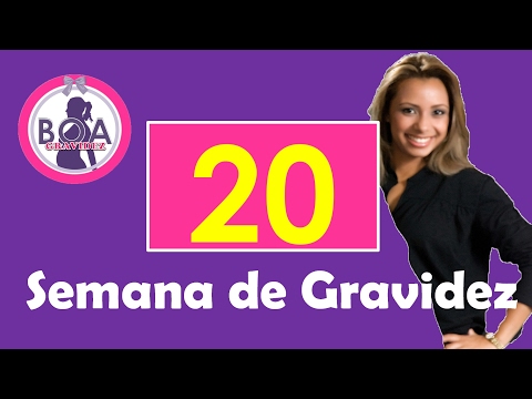 20 Semanas de Gestação - Boa Gravidez