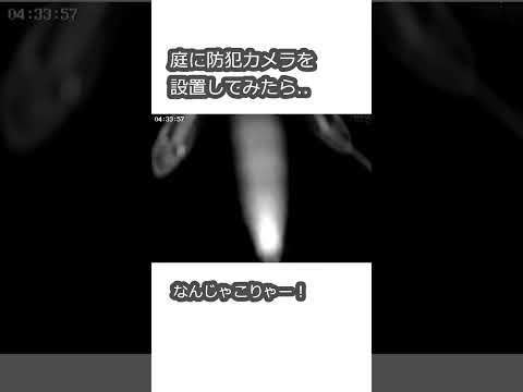 園芸 庭と家を監視するカメラ