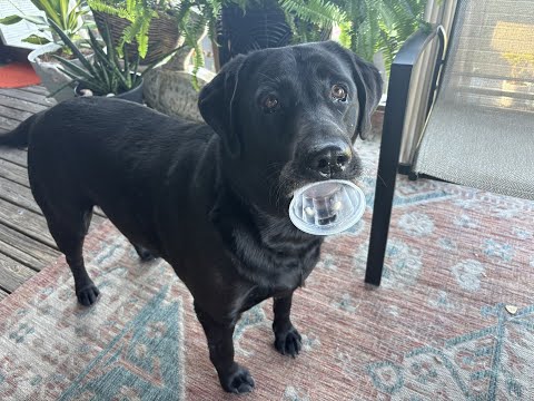 Don and Diane Shipley LIVE - August 10th at 1800 East Coast Time Thumbnail