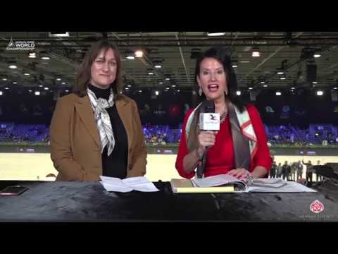 AHWC 2019 - PARIS INSIGHTS: Janina Merz