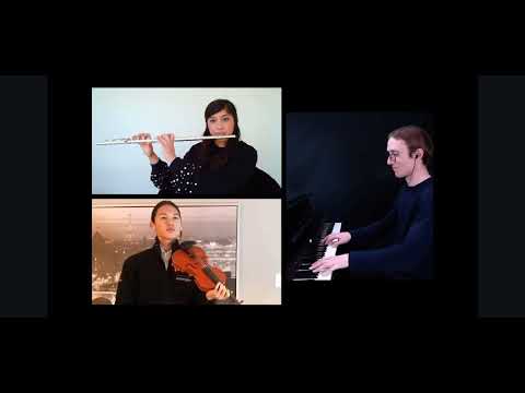 Promotional video thumbnail 3 for JP Violin