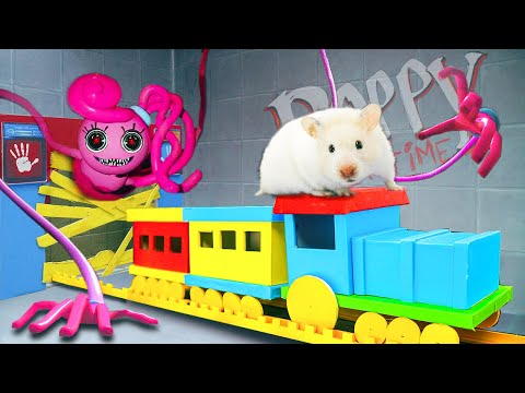Surprise Hamster Wins Poppy Maze Game Playtime Chapter 2 🐹 DUC Hamster