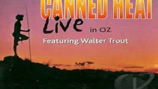 Canned Heat (feat.Walter Trout) - Amphetamine Annie (Live)