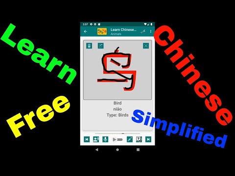 Learn Chinese Simplified Video