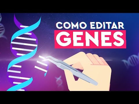 Como o CRISPR Funciona? (Edição Genética Explicada)