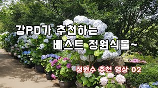 정원에 심을 나무 추천 드려요~ 수국 심을 분들은 꼭 보세요~  /조경/정원/