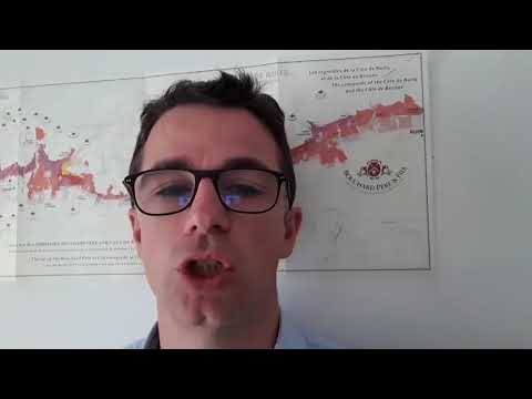 Comment comprendre la sensation  d'acidité dans le vin?