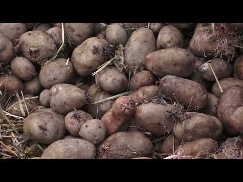 Agro karavan ep.167- Banjalučka regija - 14.03.2021.