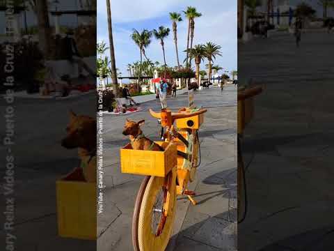 POSITIVE VIBES @1GuitarBikeintheWorld in Puerto de la Cruz Tenerife #shorts