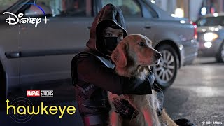 Meet the REAL Lucky the Pizza Dog | Marvel Studios' Hawkeye Trailer
