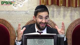 אמונה וביטחון | הלכות יין נסך | הרב נריה ברבי (ארגון ענפים) - התמונה מוצגת ישירות מתוך אתר האינטרנט יוטיוב. זכויות היוצרים בתמונה שייכות ליוצרה. קישור קרדיט למקור התוכן נמצא בתוך דף הסרטון