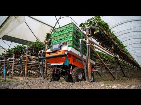 Fox Robotics - a Surrey Success Story