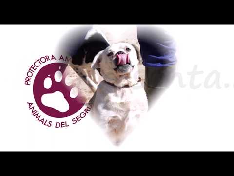 ODELIA, UNA PIZPIRETA SEÑORONA