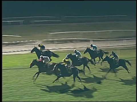 Galoppo 28/12/2016 - 6ª corsa