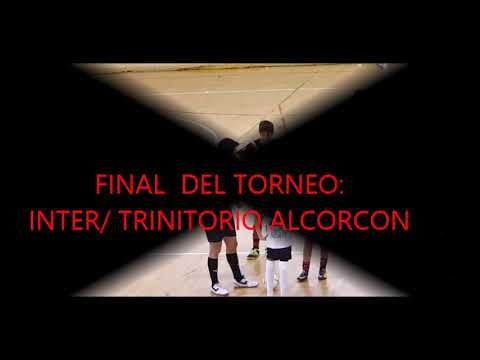 TORNEO FUTBOL SALA:  COSLADA  / ALEVINES