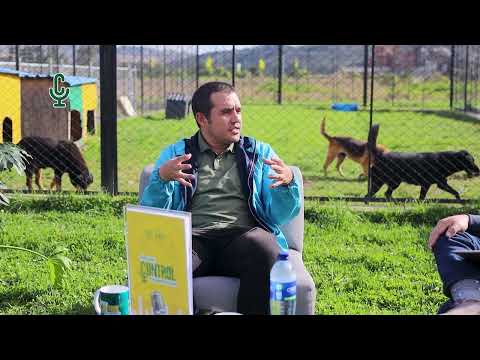 Los retos del bienestar animal en Mosquera: una conversación sin filtros
