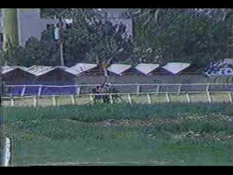 Perla Antillana - 3ra Carrera Programa # 72 - 1984