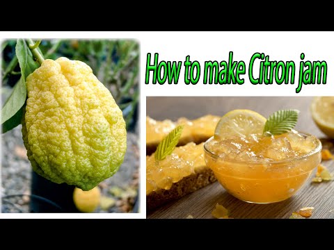 How to make Citron jam ( Best breakfast )