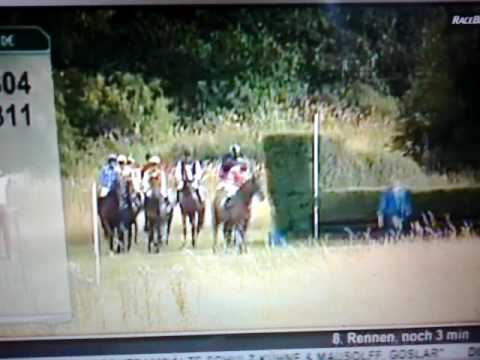 Seejagd bad hazburg 2016 jungleland