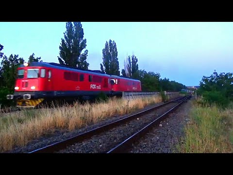 LDE 609 - 008 + LDE 609 - 009 & Marfar Fox Rail lângă Oradea seara ( 02.Aug.2021.)