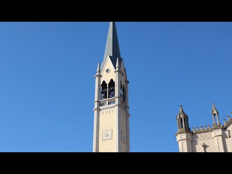 Campane del Duomo dei SS. Maria e Vitale di Montecchio Maggiore (VI) - Distesa a 9 campane | v.067