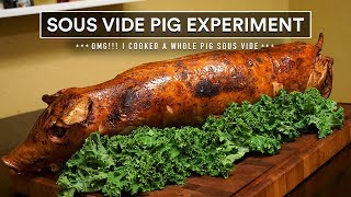 Sous Vide WHOLE PIG Experiment!