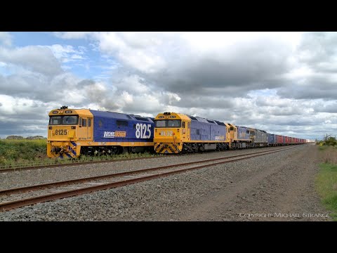 7902V Mildura Container Train Passes Grain Train (16/10/2019) - PoathTV Australian Railways