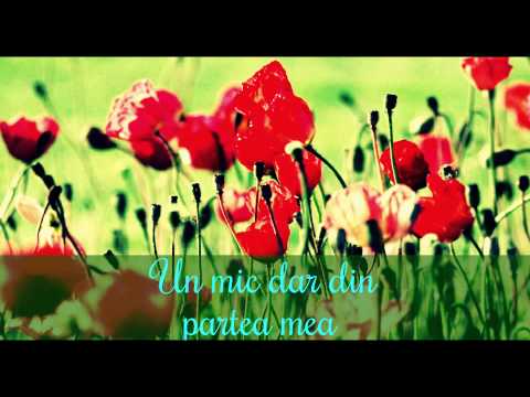 Videoclipul editat de mine