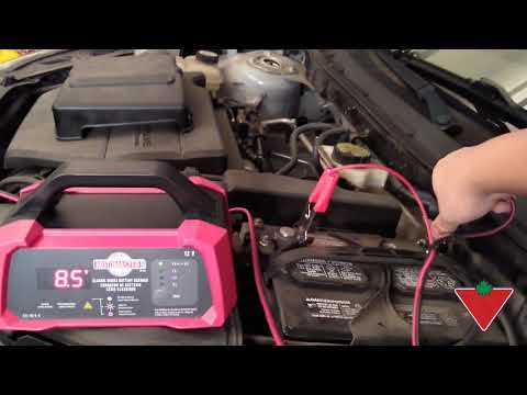 MotoMaster 8/4/2A Battery Charger reviewed by Nicholas