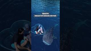 Download lagu Realita Foto Bersama Hiu Paus di Botubarani Gorontalo #shorts #foryou #wisatagorontalo mp3