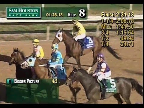 Bigger Picture - John B. Connally Turf Cup S. (G3) - Jose L. Ortiz - Michael J. Maker