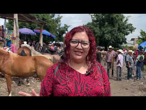 EL TIANGUE DE SAN RAFAEL CEDROS QUE MUEVE A TODO UN PUEBLO!!! 🇸🇻🐂