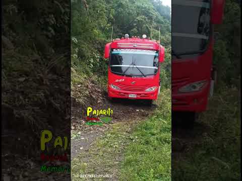 Paso habilitado entre Labranzagrande y Pisba Boyacá (Agosto 22/2026)