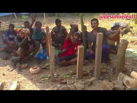 Seremonial Leteq Huna Kampung Lama Desa Hoelea II