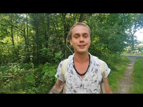 Sommar å bär passa på