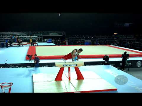 TOBA Andreas (GER) - 2017 Artistic Worlds, Montréal (CAN) - Qualifications Pommel Horse