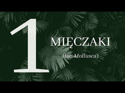 Temat 1 - Mięczaki