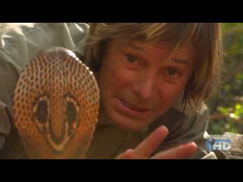 Austin Stevens  Snakemaster - In Search of the King Cobra