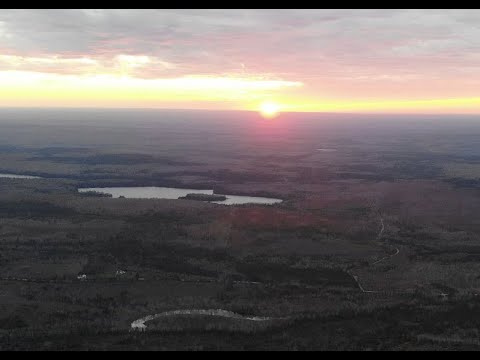 Alan Watts - The Inevitable Ecstasy