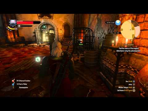 The Witcher 3 - Disturbance: Find Magical Disturbance (Dimeritium) Potestaquisitor Gameplay